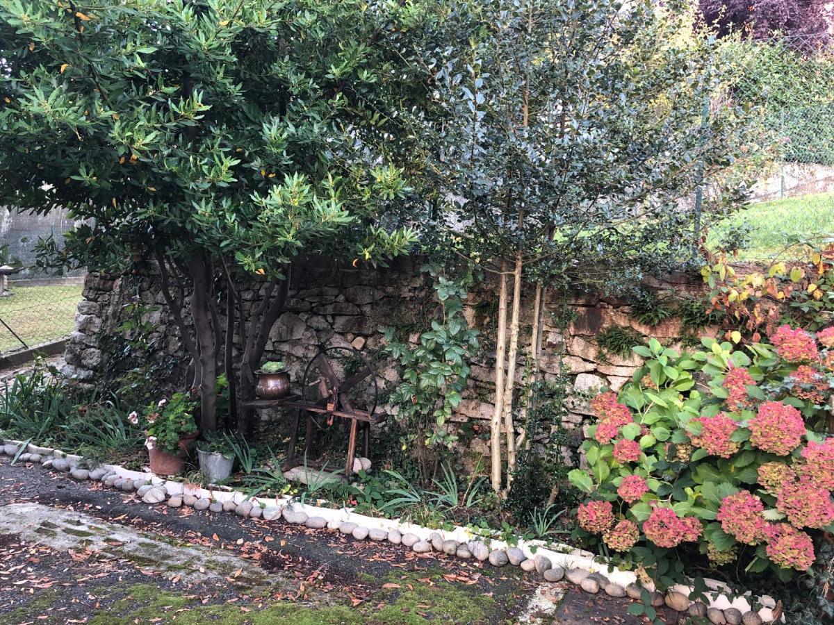 La Casa Verde B&B Trivero Buitenkant foto